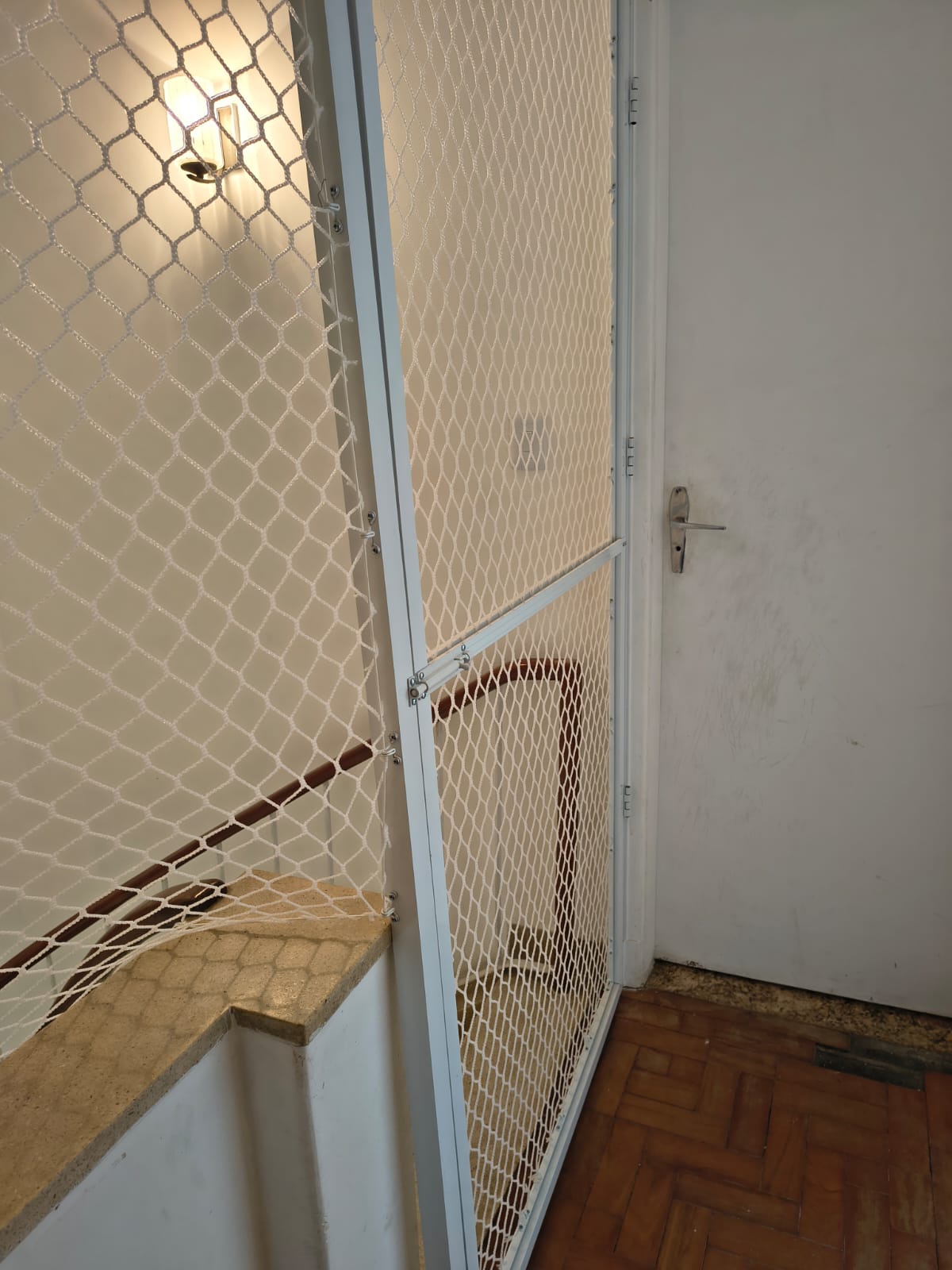 Área dos gatos - foto 3