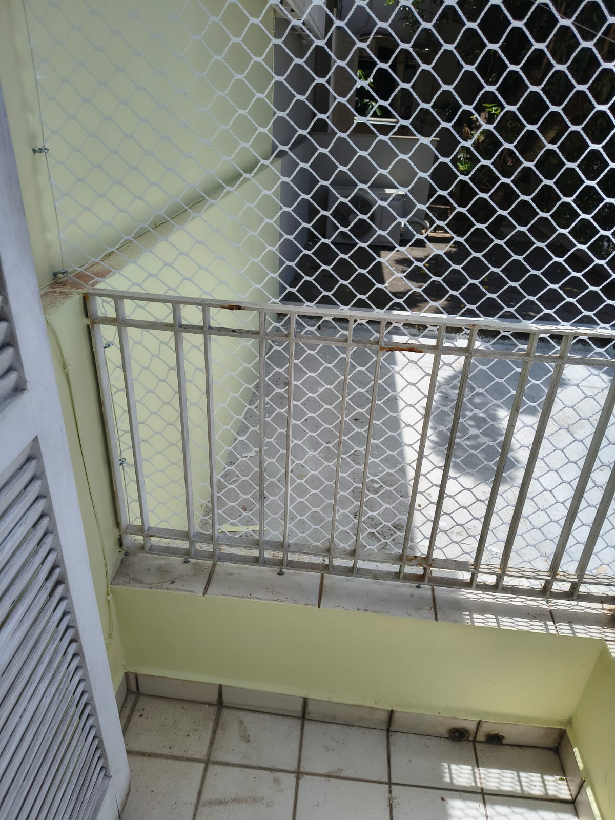 Área dos gatos - foto 4